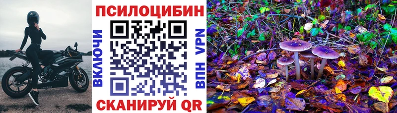 Купить  Рузаевка  Галлюциногенные грибы Psilocybine cubensis 